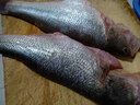鲜活冲浪河鲈鱼400-500g/条 晒单实拍图