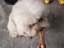 波奇多 牛皮骨7.5cm(4根)狗狗零食磨牙棒牛皮压骨洁齿神器骨头咬胶训练 实拍图