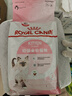 皇家幼猫猫粮 幼猫奶糕 K36 通用粮 4-12月 2KG 实拍图