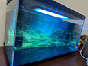 米家（MIJIA）小米米家智能生态鱼缸还原自然生态补仓一次三月无忧出差旅行必备 实拍图