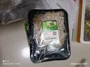 【24小时菜】富硒绿豆芽200g 实拍图