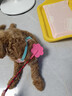 波奇多 宠物爱心拍 大号(62cm)打狗棍训犬皮鞭子马犬训练猫轻便训狗神器 实拍图