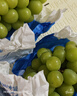 阳光玫瑰青提葡萄新鲜水果晴王香印晴王提子整箱产地直发 带箱3斤(10g+) 实拍图