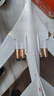 翊玄玩具 飞机模型图160白天鹅战略轰炸机仿真合金航空航模手办男孩礼物 实拍图
