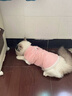 宜品达QC猫咪衣服保暖秋冬季布偶猫背心绒衣宠物小型犬狗狗小猫幼猫 高品质兔毛绒-粉色 L (6-9斤内) 实拍图