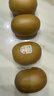 佳沛（zespri）新西兰  阳光金奇异果18粒礼盒优选果单果约101-124g 猕猴桃水果 晒单实拍图