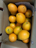 赣南脐橙 正宗赣南脐橙 江西赣州橙子手剥橙新鲜水果礼盒当季现摘时令生鲜 10斤精选单果150-220g净重9斤+ 实拍图