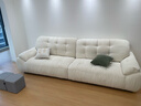 帕沙曼云朵沙发布艺可拆洗小户型客厅奶油风雪尼尔沙发多功能 2630ZF 【常规款】3.1米多人位 雪尼尔TY74: 羽绒+轻弹棉+紫罗兰+竹炭海绵 实拍图