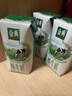 伊利金典纯牛奶整箱 200ml*24盒 3.6g乳蛋白 原生高钙 礼盒装 实拍图