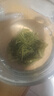 至鼎绿茶 特级毛尖茶叶2025新茶信阳原产 明前嫩芽 口粮茶散装500g  实拍图