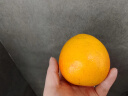 四川资中新鲜血橙甜橙爆汁5斤（65mm~70mm） 5斤普通箱 晒单实拍图