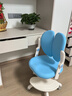 读书郎儿童学习椅中小学生写作业写字椅子家用可升降椅调节背座椅 升降脚踏+动态追背+双背旋转蓝 实拍图
