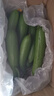 京喜加新鲜无刺水果小黄瓜小青瓜脆甜荷兰脆嫩生吃黄瓜蔬菜 水果黄瓜 2斤 带箱活动 实拍图