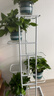 蜗家花架客厅落地式多层铁艺置物架室内阳台绿萝多肉植物摆放花盆架白 实拍图