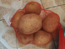 土豆1kg 实拍图