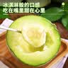 农根蔬 海南玫珑网纹蜜瓜冰淇淋当季新鲜水果甜瓜整箱2026静冈蜜瓜 净重4.5 优选装 实拍图