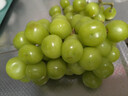 京鲜生 阳光玫瑰葡萄 青提2-2.5斤装 单果约10g 生鲜水果 实拍图