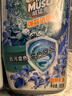 威猛先生（Mr Muscle）强效 洁厕灵 洁厕剂 丁香香型 马桶清洁 600gX2瓶 实拍图