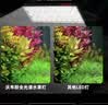 沃韦朗（VOONLINE）鱼缸灯水草灯LED全光谱草缸水族夹灯 【观赏鱼加长版】沃韦朗夹灯16W 实拍图