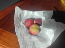 山东冬桃脆甜毛桃蜜桃雪桃水果冬桃桃子脆甜多汁新鲜冬桃-沐真 带箱9斤 实拍图