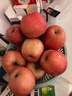 京鲜生 山东栖霞红富士苹果精品12粒 单果190g-240g  水果礼盒 实拍图