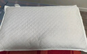雅鹿·自由自在纯棉荞麦枕头100%全荞麦皮荞麦壳枕芯夏季安睡枕颈椎枕单只装6斤 实拍图