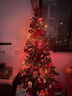 新新精艺 圣诞树圣诞节装饰品加密豪华家用商场门口平安树彩灯发光树1.5m 实拍图