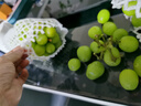京鲜生 阳光玫瑰葡萄 青提2-2.5斤装 单果约10g 生鲜水果 实拍图