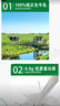 蒙牛全脂纯牛奶250ml*21盒 早餐健身伴侣 送礼盒装 实拍图