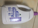 滴露（Dettol）衣物除菌液薰衣草3L 99.9%杀菌除螨 内衣衣物消毒液 可配洗衣液 实拍图