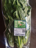 【24小时菜】油麦菜300g 实拍图