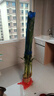 中梦散尾葵植物盆栽客厅大型绿植室内办公室凤尾竹盆景天堂鸟花卉 散尾葵高1.3-1.6米+原胶盆 实拍图