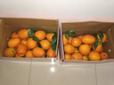逮果重庆奉节脐橙纽荷尔春橙福本特级大果礼盒装时令新鲜孕妇水果橙子 特级果20斤礼盒装【JD/顺丰】 实拍图