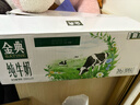 伊利金典纯牛奶整箱 200ml*24盒 3.6g乳蛋白 原生高钙 礼盒装 实拍图