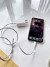原装适配苹果充电器20W快充数据线套装iPhone14ProMax131211插头 【苹果6-14系列】快充头+闪充线 实拍图
