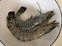 天纵良材进口巨型黑虎虾 活冻大虾老虎虾斑节虾对虾 海鲜礼盒 生鲜海虾 特大14-20只 1.8斤(净重)  18-20CM 实拍图