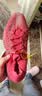 阿迪达斯YEEZY350魔鬼辣椒椰子透气新年红男女休闲鞋GW6945 39 实拍图