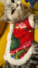 萌嘟星宠 宠物狗狗衣服猫咪小狗小猫泰迪比熊新年保暖服饰 东北大花袄M号 实拍图