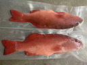 沃鲜客（woxianke）东星斑海鲜速冻深海捕6斤超特大燕尾斑石斑鱼年货送礼海鲜大礼包 【活冻】东星斑2.9-3.1斤/条 实拍图