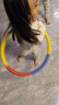 马丁兄弟 儿童呼啦圈幼儿园小学生初学者软绵表演圈 马卡龙拼色60cm 实拍图