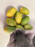 庾丰 芒果新鲜水果生鲜整箱当季大青皮芒 热带孕妇芒果 10斤装(净果8.5-9斤)单果200克起 实拍图