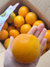 果果牛湖南麻阳冰糖橙 应当季新鲜水果手剥甜橙子高山夏脐血多汁 可选 9斤装(65-70mm)力荐 实拍图