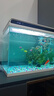 森森 超白玻璃智能桌面鱼缸一体缸自循环HE-480 实拍图