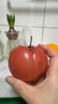 京鲜生 山东普罗旺斯番茄 净重4.5斤 单果125g+ 沙瓤西红柿 源头直发 实拍图