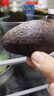 鲜级佳秘鲁进口牛油果鳄梨新鲜水果微催熟爽滑细腻宝宝辅食单果水果当季 店长力荐 100-140g【6个装】 实拍图
