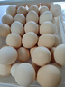 京鲜生【每日鲜蛋】无抗谷物鸡蛋30枚 3.18斤 当日产蛋 当日发货 实拍图