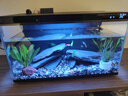米家小米智能鱼缸 一体整机免装语音遥控半年免换水APP定时喂食水族箱 米家智能鱼缸 实拍图