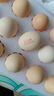 京鲜生【每日鲜蛋】无抗谷物鲜鸡蛋15枚/盒 1.5斤 源头直发 实拍图