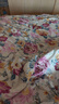 富安娜家纺床上四件套纯棉 100%全棉床单 双人加大床品 被套230*229cm 实拍图