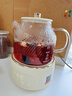 WORLD KITCHEN康宁养生壶 全玻璃恒温壶煮茶壶煮茶器1L 办公室保温壶家用花茶壶烧水壶电热水壶煮水壶送礼自用 【标准款】【24小时预约丨自动保温】 1L 实拍图